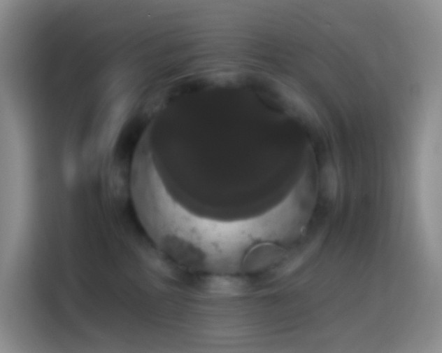 X0000113850234200910011007