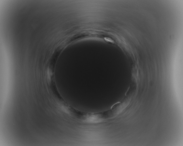 X0000113850235200910011007