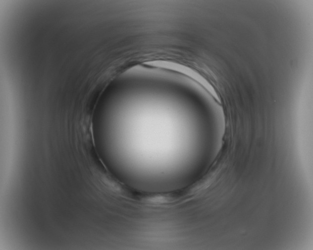 X0000113850237200910011007