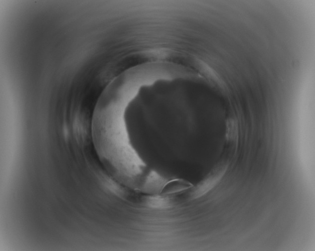 X0000113850238200910011007