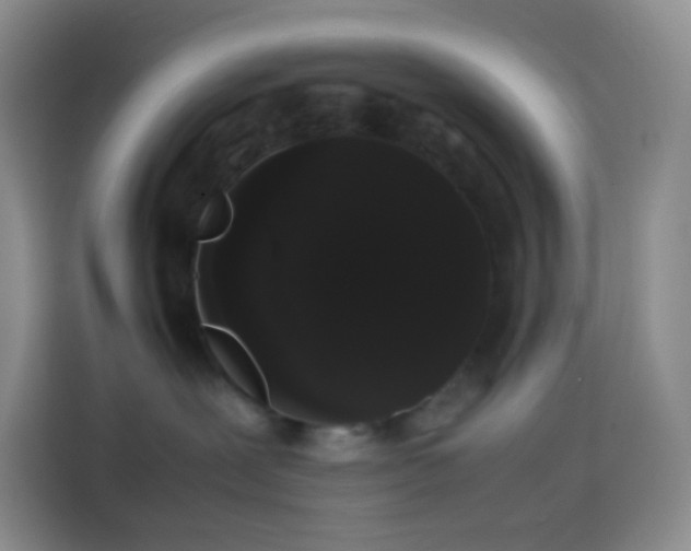 X0000113850239200910011007