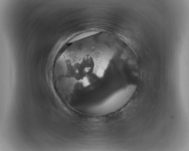 X0000113850241200910011006