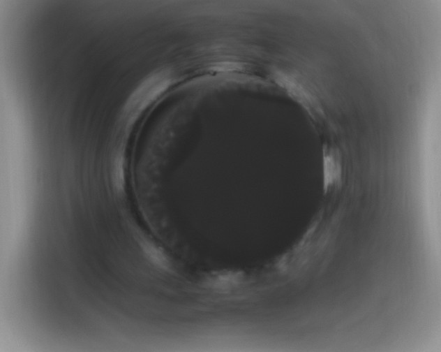 X0000113850243200910011006