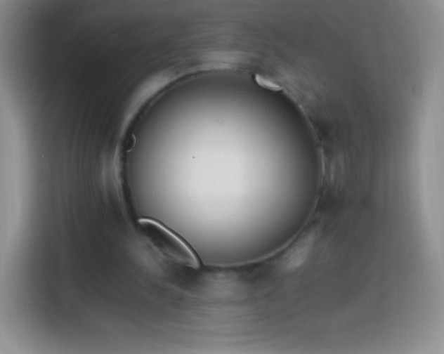 X0000113850244200910011006