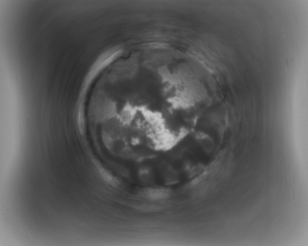 X0000113850245200910011006