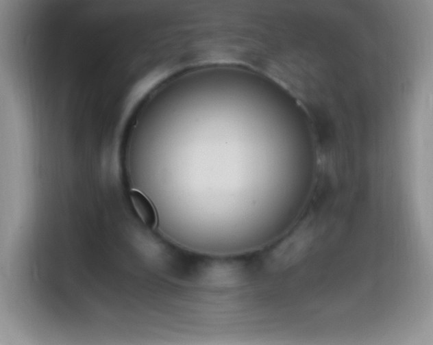 X0000113850248200910011006