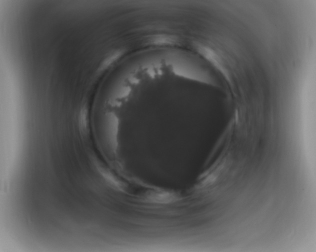 X0000113850249200910011006