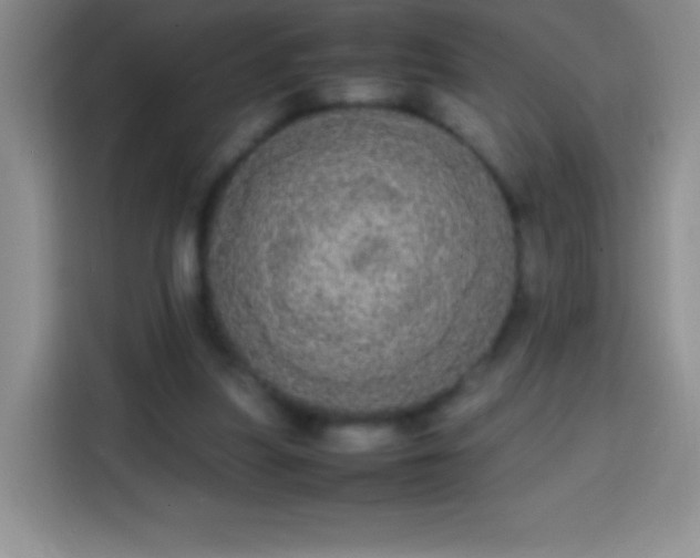 X0000113850251200910011006