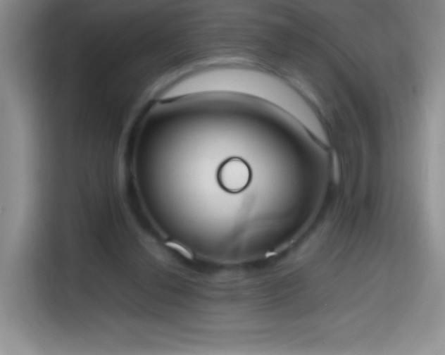 X0000113850252200910011006