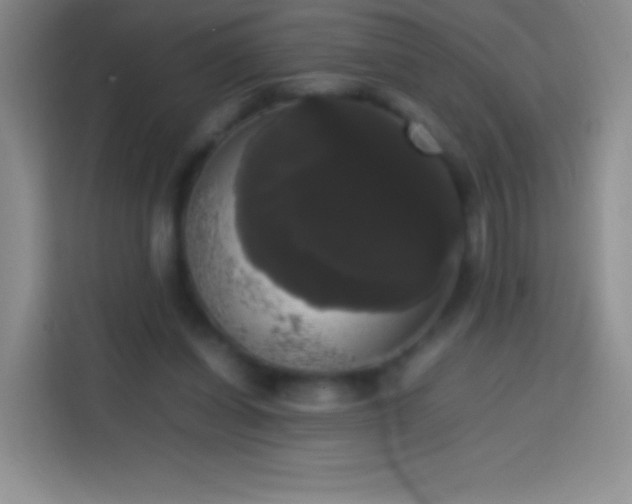 X0000113850254200910011006