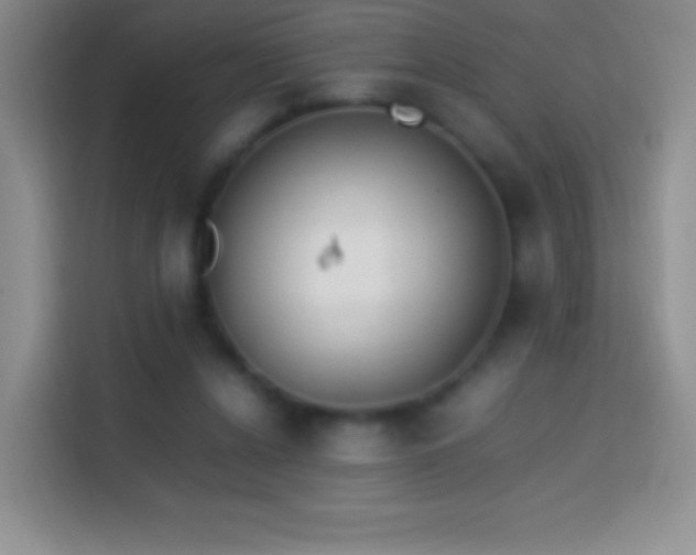 X0000113850256200910011006