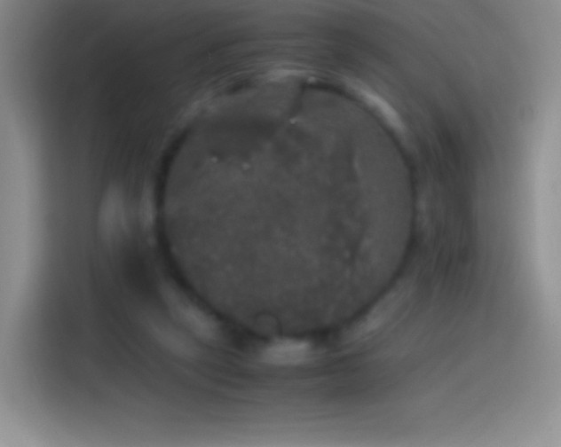 X0000113850257200910011006