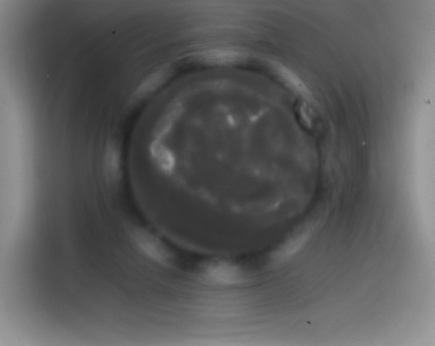 X0000113850258200910011006