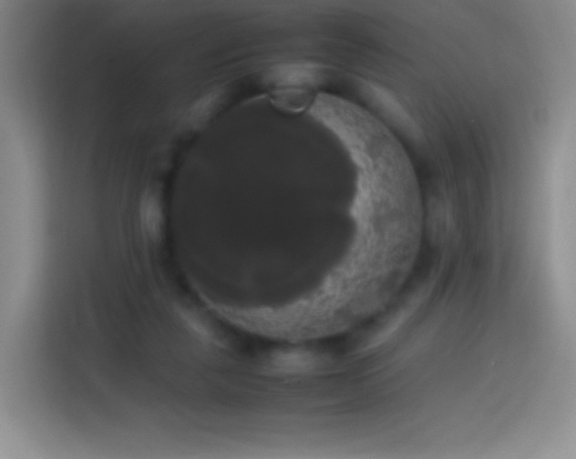 X0000113850259200910011006