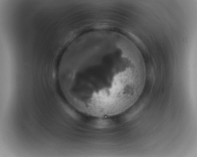 X0000113850261200910011006