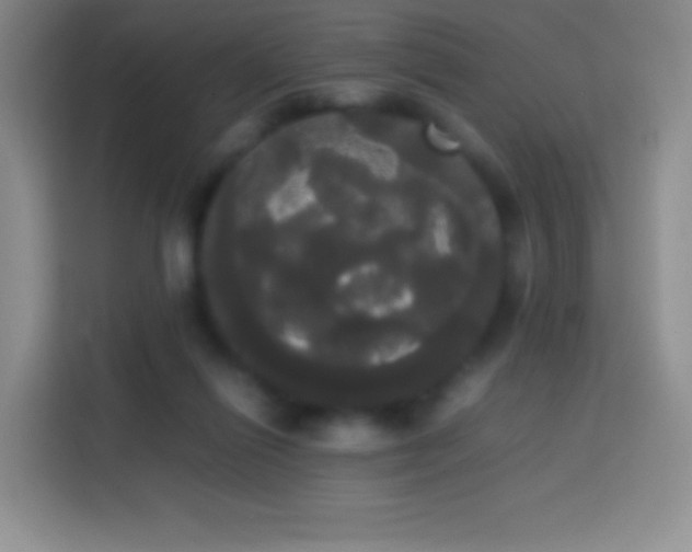 X0000113850262200910011006