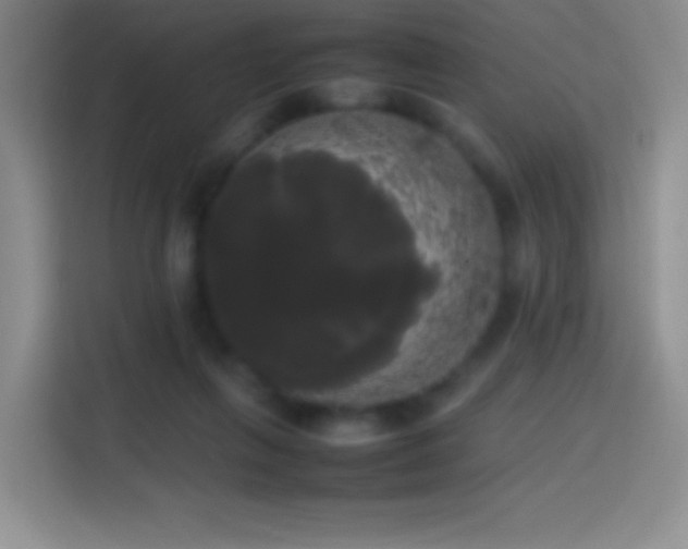 X0000113850263200910011007