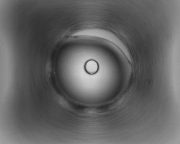 X0000113850264200910011007