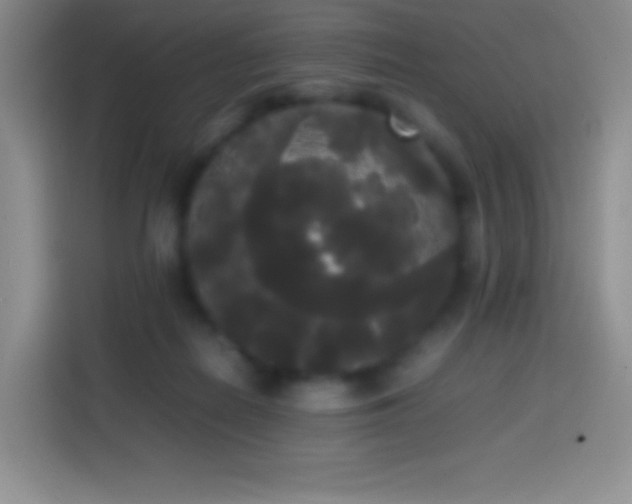 X0000113850266200910011007