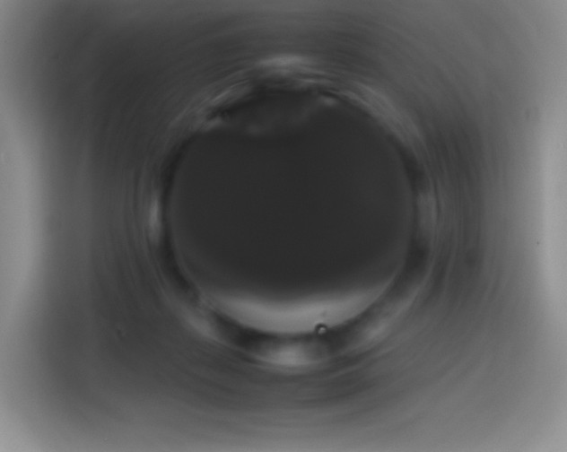 X0000113850267200910011007