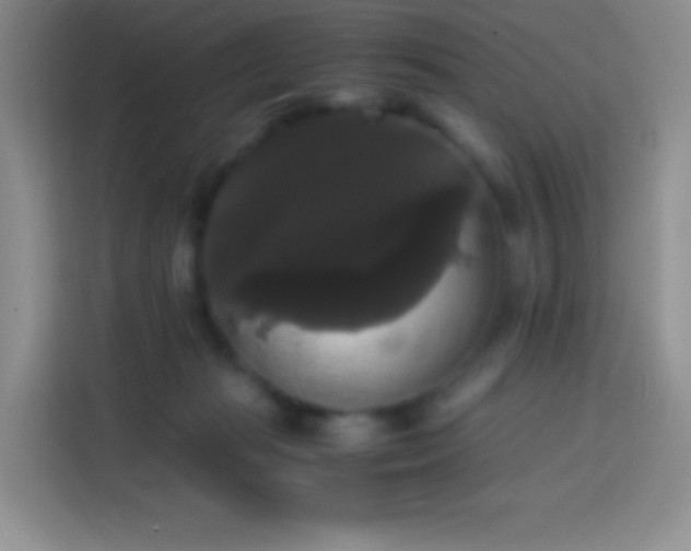 X0000113850269200910011007