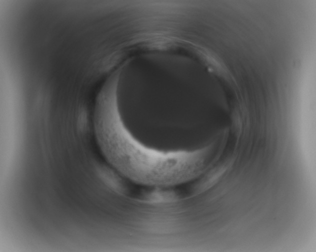 X0000113850270200910011007