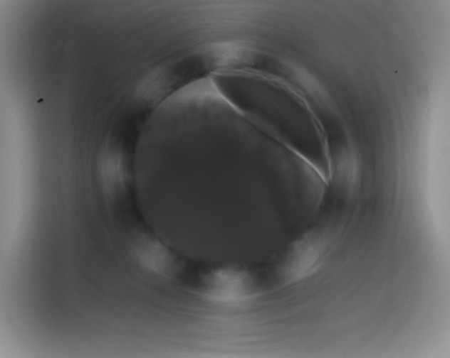 X0000113850272200910011007