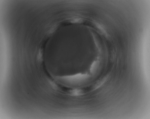 X0000113850273200910011007