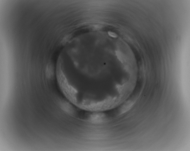 X0000113850274200910011007