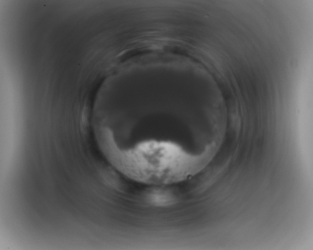 X0000113850275200910011007