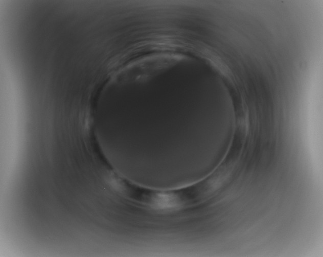 X0000113850277200910011007