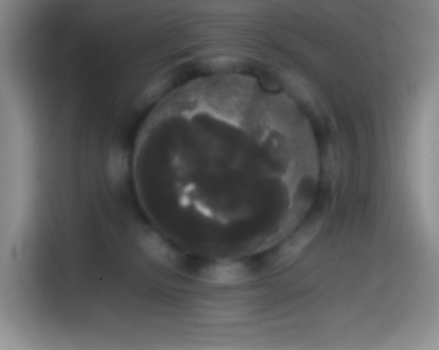 X0000113850278200910011007