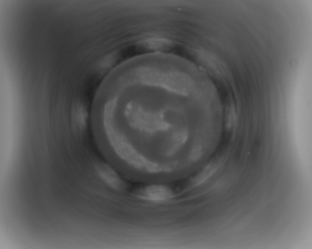 X0000113850279200910011007