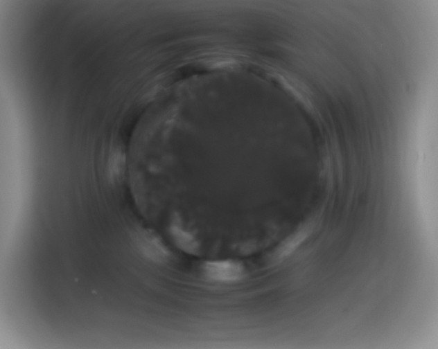 X0000113850281200910011007