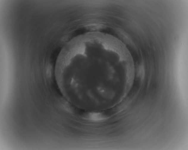 X0000113850283200910011007