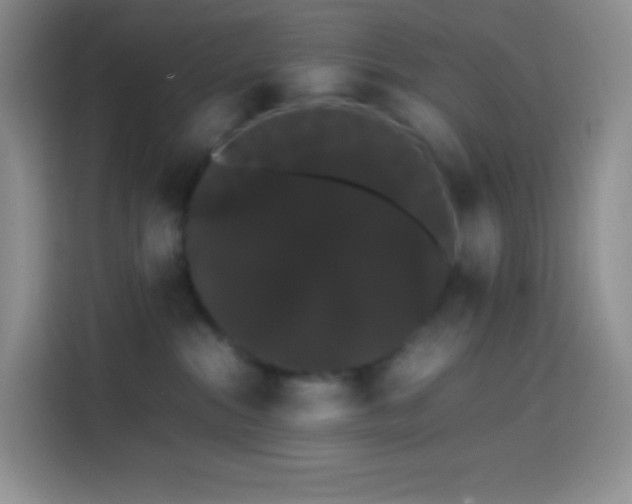 X0000113850284200910011007