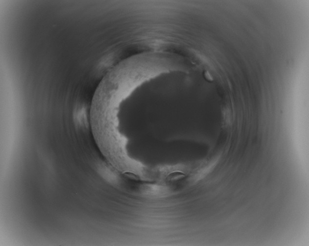 X0000113850286200910011007