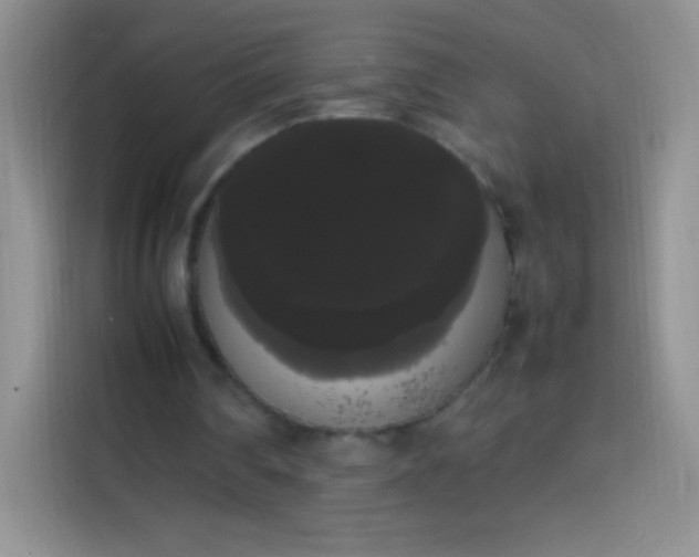 X0000113850290200910011006