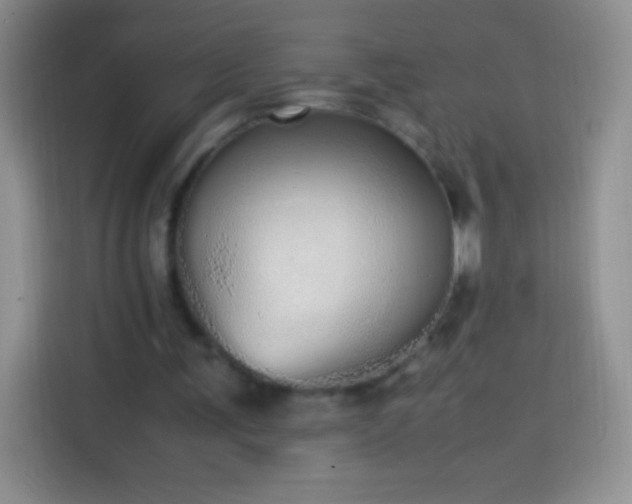 X0000113850291200910011006