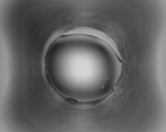 X0000113850293200910011006