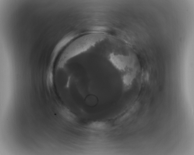 X0000113850294200910011006