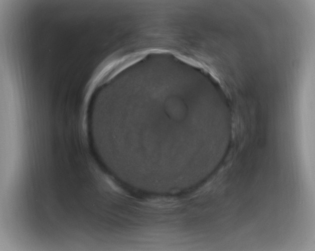 X0000113850296200910011006