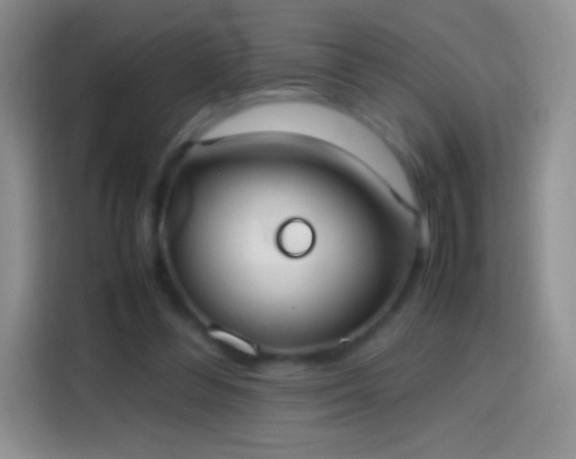 X0000113850300200910011006