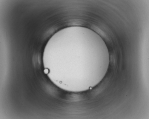 X0000113850302200910011006