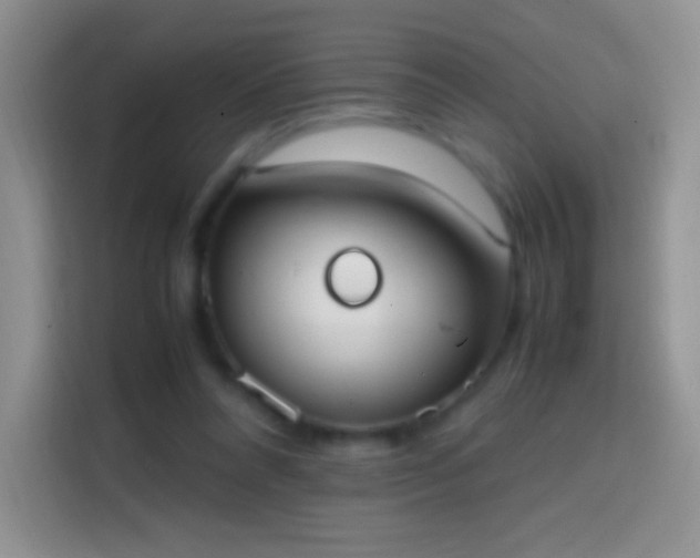 X0000113850304200910011006