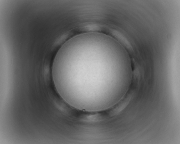 X0000113850306200910011006