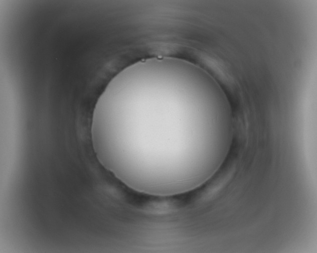 X0000113850307200910011006