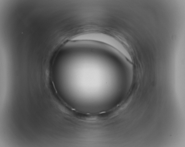 X0000113850309200910011006