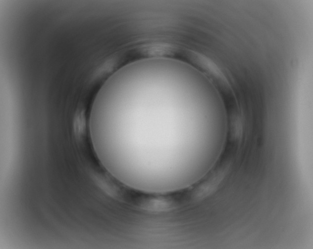 X0000113850310200910011006