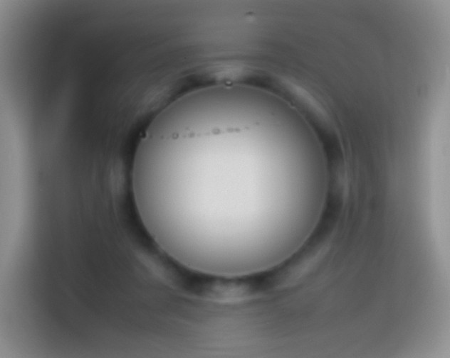 X0000113850311200910011006